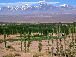 el barreal view at the andes argentina @ journeylism.nl